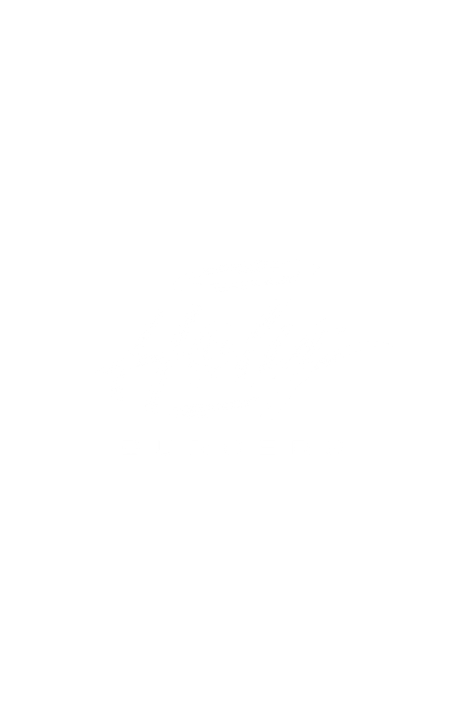 Holy Burgers