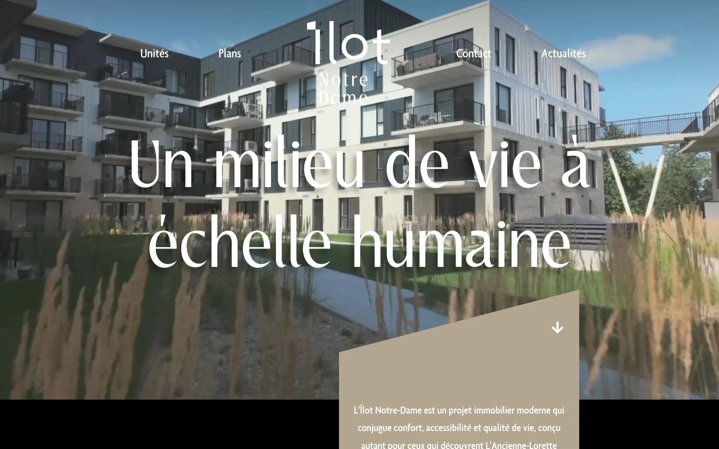 Page d’accueil de l’Îlot Notre-Dame : l’immeuble derrière le titre « Un milieu de vie à échelle humaine »